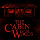Image for article titled Whedon's Meta-Tastic Cabin In The Woods Posters Leave Us Wondering: What Is This Movie?